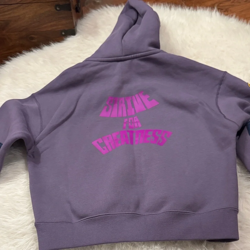 Nike LeBron James Boys Size S Hoodie with Embroidered Logo NWT - Picture 4 of 7